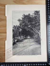 1907年出版物老照片印刷品——（12张）——[CA06+A0116]——香港