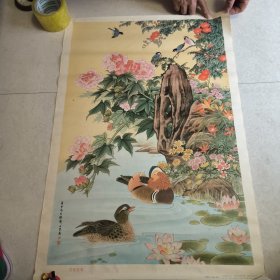 年画 芙蓉鸳鸯(77*53)