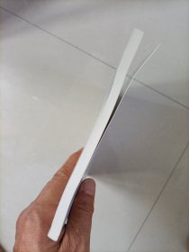 气候变化突发影响:预见意外