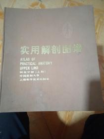 实用解剖图谱四肢分册(上册)