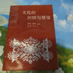 文化的回顾与展望:中国文化书院建院十周年纪念文集