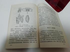 热带作物栽培‘农业生产基本知识’（彩画封面多插图，农业出版社改编，1974年初版）2022.6.2日上