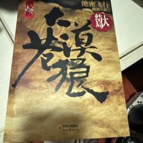 大漠苍狼：绝密飞行