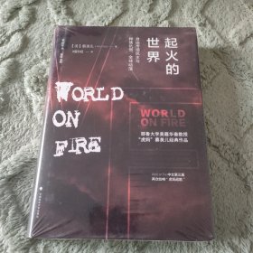 起火的世界：自由市场民主与种族仇恨、全球动荡（第二版）/雅理译丛