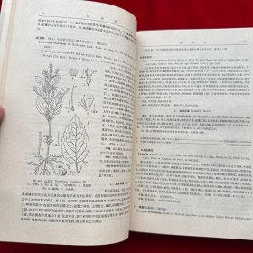 海南植物志（第四卷）精装
