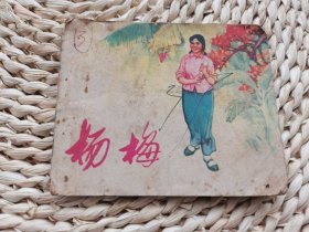 杨梅连环画
