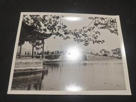 70－80年代黑白老照片   西湖断桥 20－15厘米