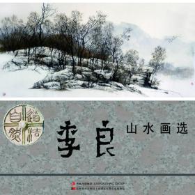 名家画册 国画名家系列丛书李良山水画