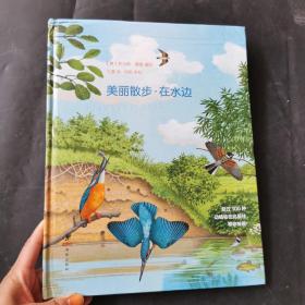 美丽散步.在水边    精装绘本