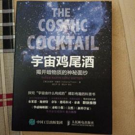 宇宙鸡尾酒：揭开暗物质的神秘面纱