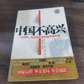 中国不高兴：大时代大目标及我们的内忧外患