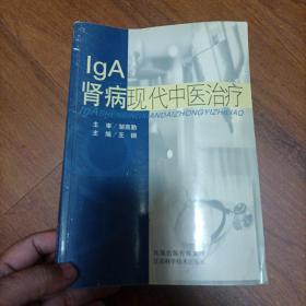 LgA肾病现代中医治疗