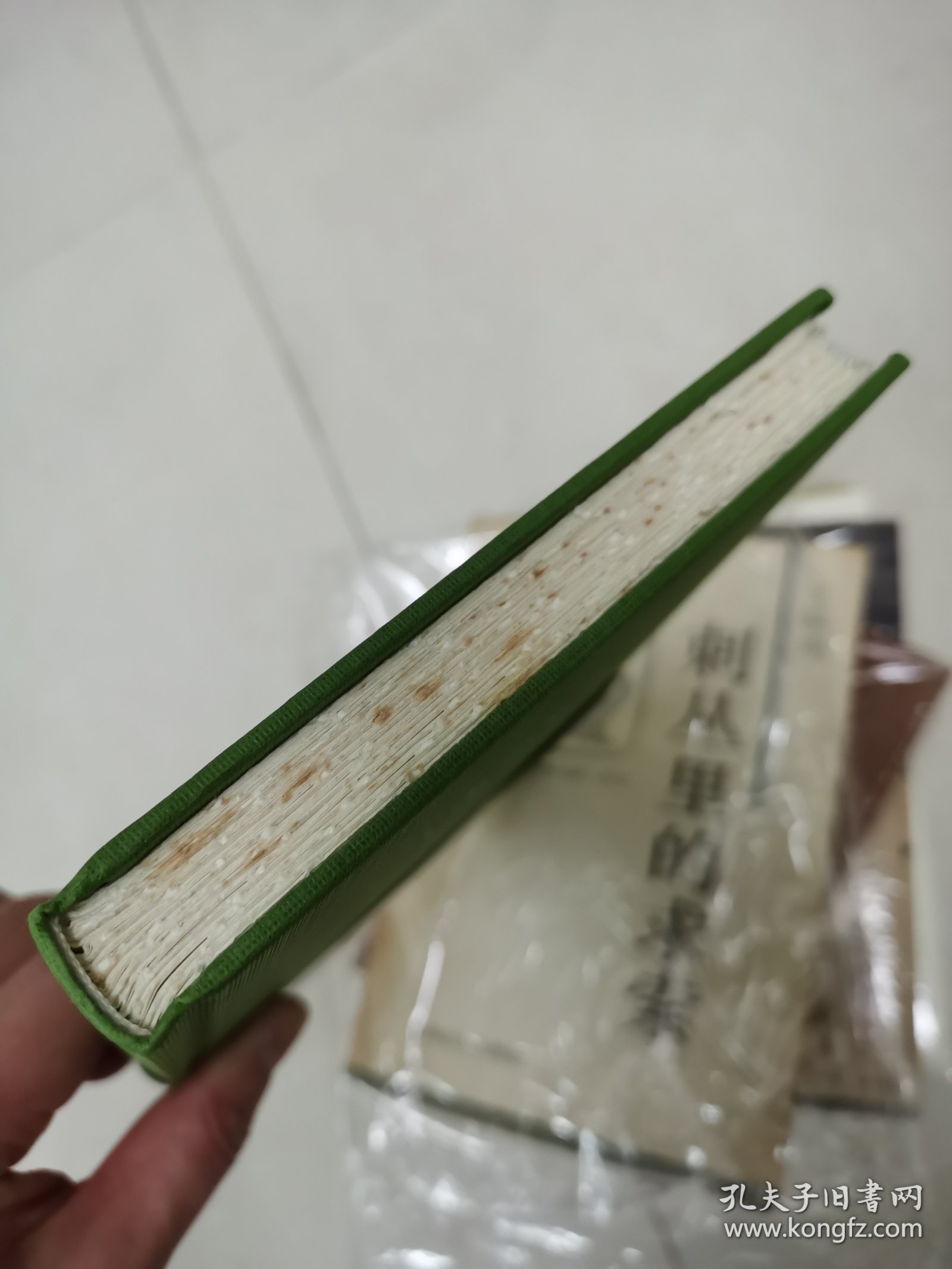 【鄢烈山亲笔签名钤印 毛边版】江山如有待：著名杂文家、鲁迅文学奖获得者鄢烈山的又一本游思札记（保真）