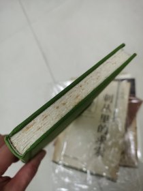 【鄢烈山亲笔签名钤印 毛边版】江山如有待：著名杂文家、鲁迅文学奖获得者鄢烈山的又一本游思札记（保真）