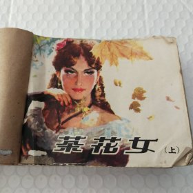 连环画，茶花女，(上，下册)安徒生的童年，四十个南瓜，景颇人的挎刀(五本合售)