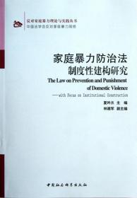 反对家庭暴力理论与实践丛书：家庭暴力防治法制度性建构研究