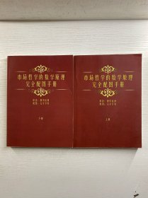 市场哲学的数学原理完全配图手册 上下 全2册（彩色版）正版如图、内页干净