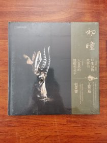初瞳：我和我的野生动物朋友