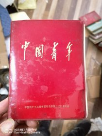 青岛市第八次代表大会，共青团中国青年笔记本日记本插图本包老保真怀旧