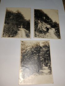 民国杭州风景老照片丛林(取自私人相册，一组杭州周边风景，仅供参考，购者自辨)