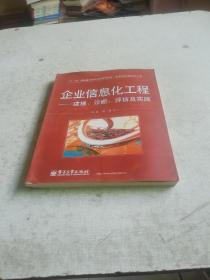 企业信息化工程：建模、诊断、评估及实践