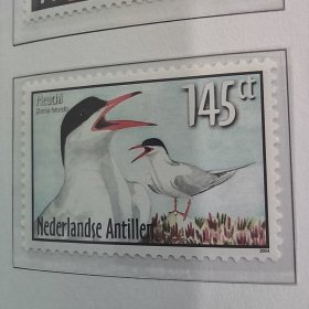 Davo1荷属安的列斯2004年邮票 鸟类 灌鸟 鹰等 新