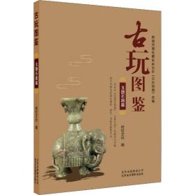 古玩图鉴 玉器石器篇 古董、玉器、收藏 传世  编 新华正版