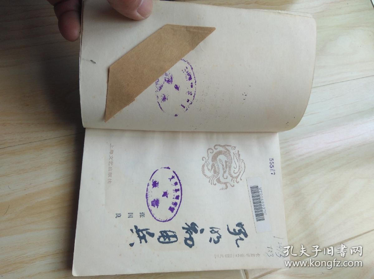 孔明初用兵