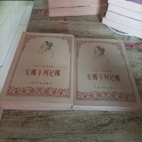 《安娜·卡列尼娜》上下