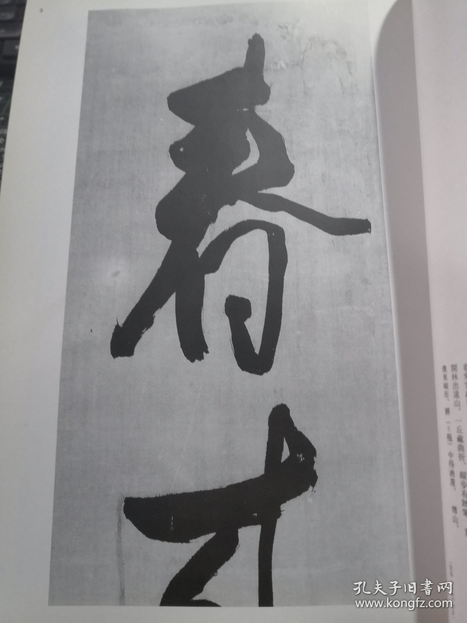 二玄社字帖 条幅名品选4 傅山