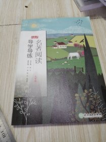 名著阅读导学导练（九年级）/乐支点 附带参考答案 库存书实物如图