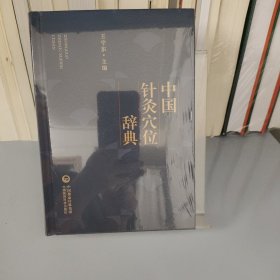 中国针灸穴位辞典