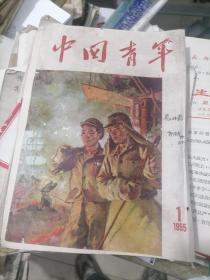 中国青年1955年 第1期