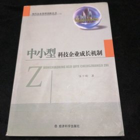 中小型科技企业成长机制