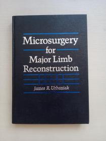 Microsurgery for Major Limb Reconstruction