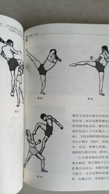 霸拳 亚披勒古法泰拳真传