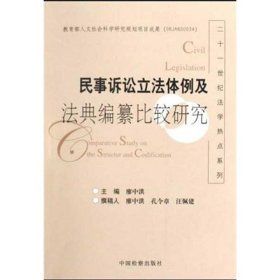 二十一世紀(jì)法學(xué)熱點(diǎn)系列 ：民事訴訟立法體例及法典編纂比較研究
