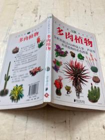 多肉植物
