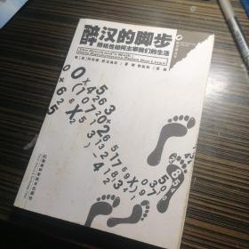 醉汉的脚步：数学圈丛书