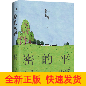 平原的密码（散文家许辉先生作品，对平原有着不同寻常的理解，对平原的社会和人群有着深入的思考）