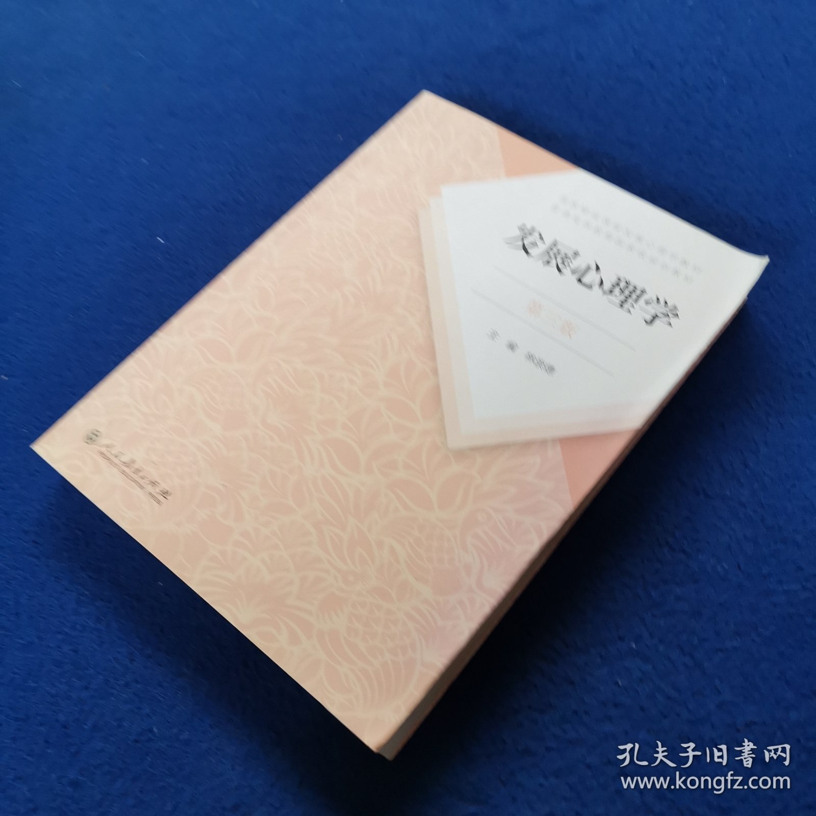 发展心理学 第三版