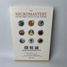 微精通：轻松到不可能放弃的技能学习手册