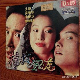 撞板风流(DVCD)