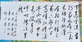 天津宝坻书法家范印山作品②
