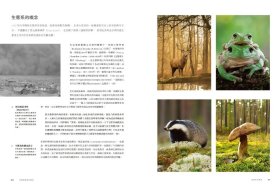 【预订】世界森林之书：走进林荫之下，探索全球树木、树种与自然生态