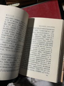 金瓶梅：张竹坡批评第一奇书（精装·全二册）A1-2