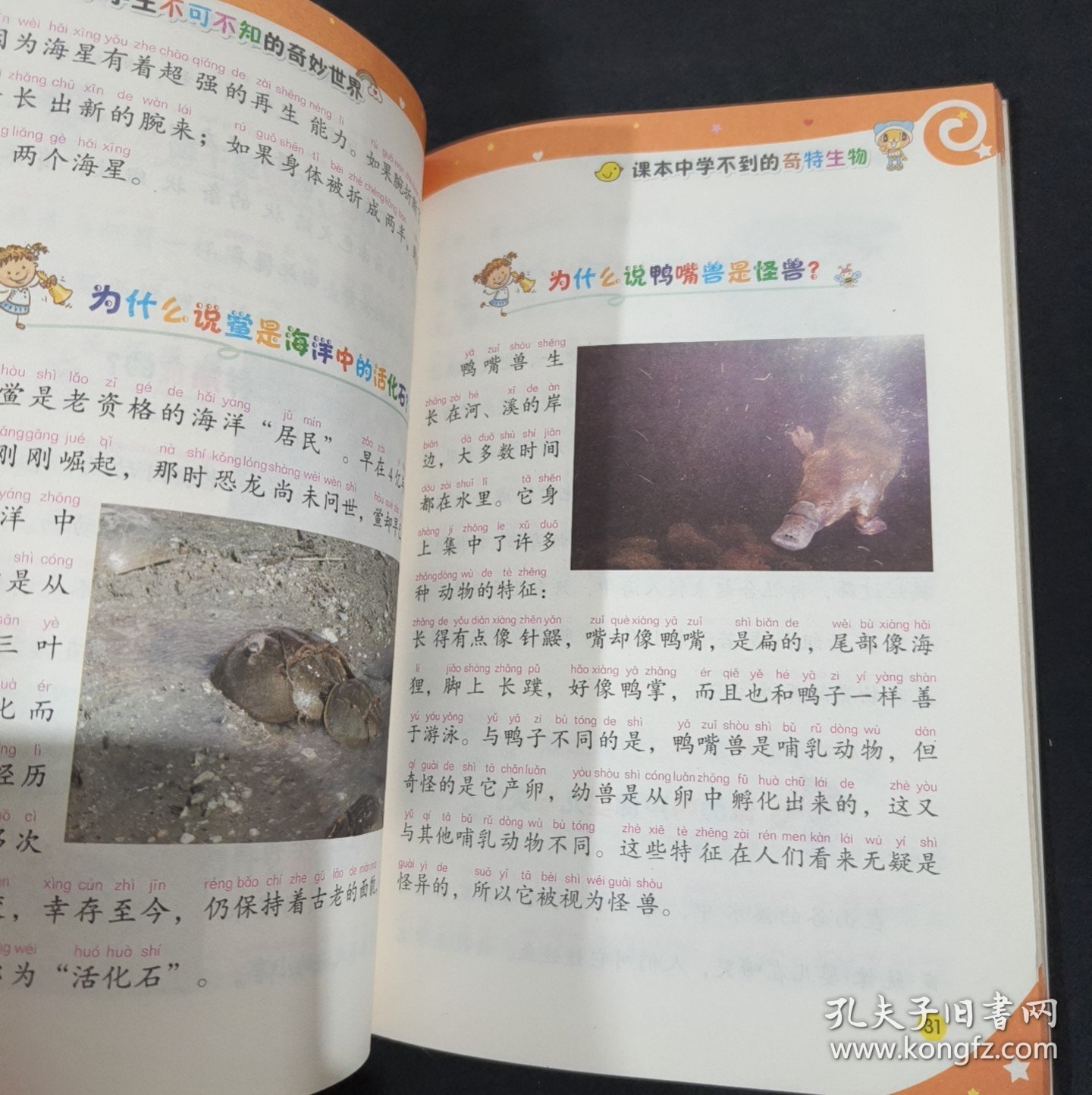 小学生不可不知的奇妙世界 课本中学不到的天文知识