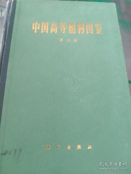 中国高等植物图鉴第五册