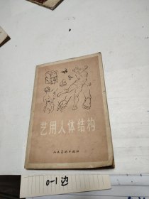 艺用人体结构
