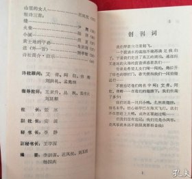 《野丫诗报》试刊号，顾城、王家新、潘洗尘等著名诗人首发！